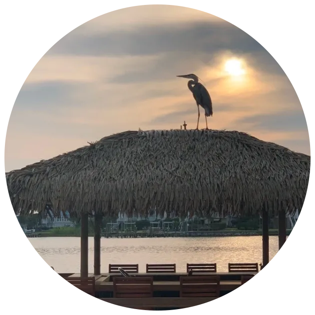 A bird sitting on top of a hut near the water.